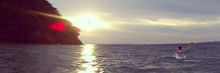 MsEmmaDuggan's profile banner image