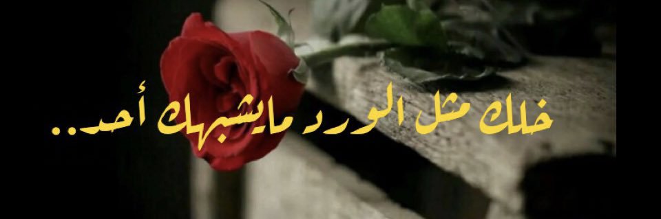 Al_ReeM005's profile banner image