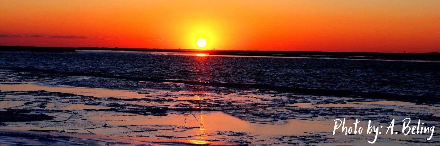 beezer81's profile banner image