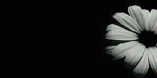 muzo_800's profile banner image