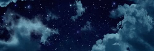 tedybearnation's profile banner image