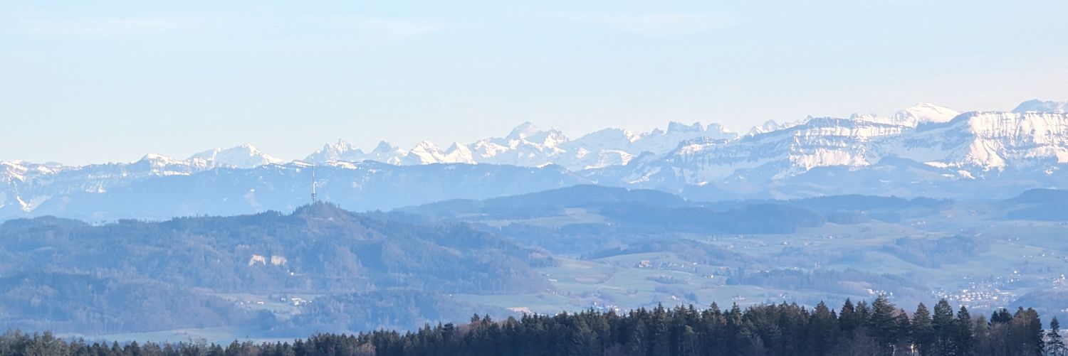 Leonewtiger's profile banner image