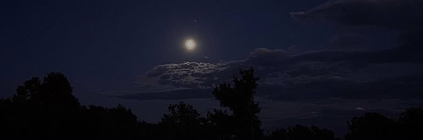 miaprodigy's profile banner image