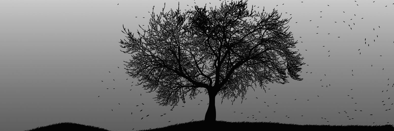 NandoDiazJ's profile banner image