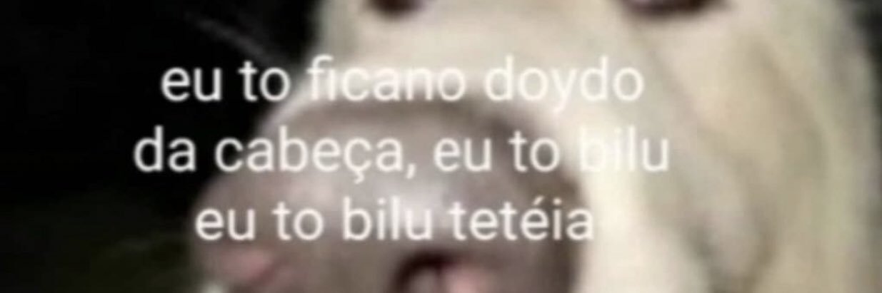 eduardafaarias's profile banner image