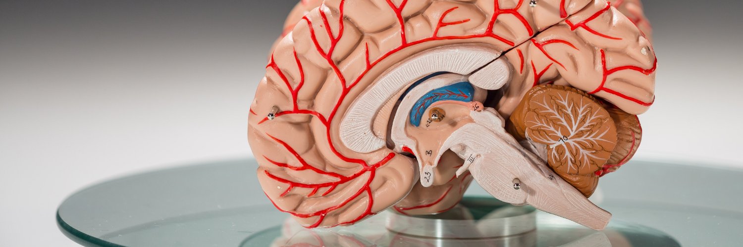 Health Sciences Library banner