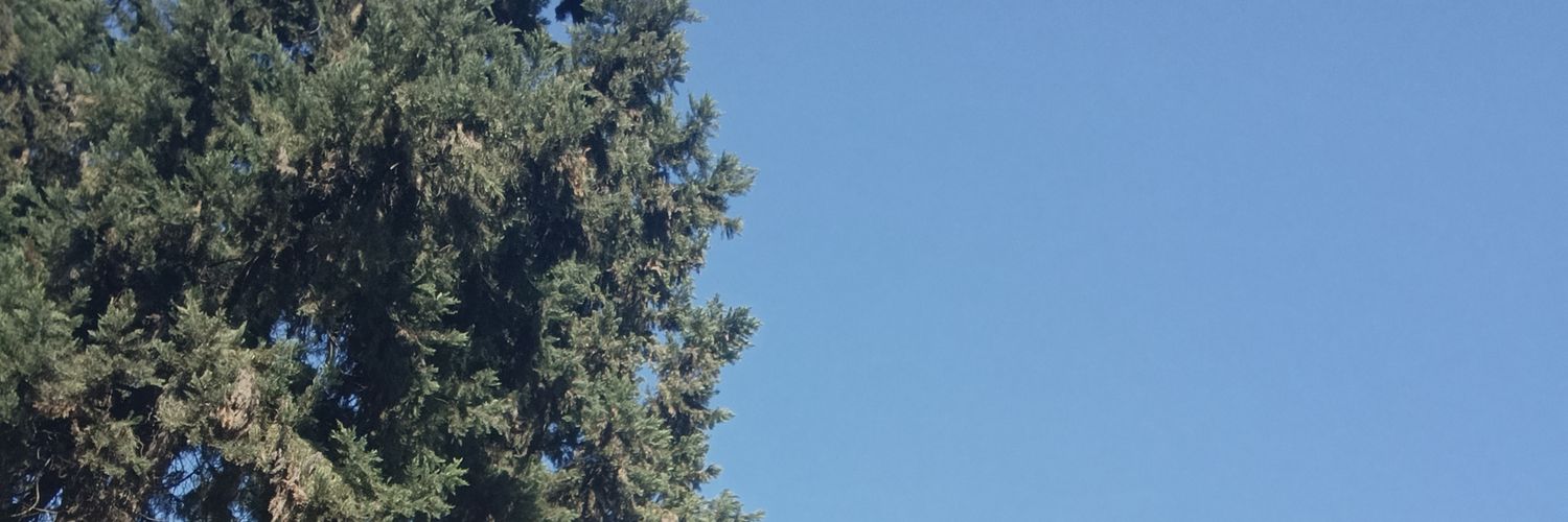 itsvalebbs's profile banner image