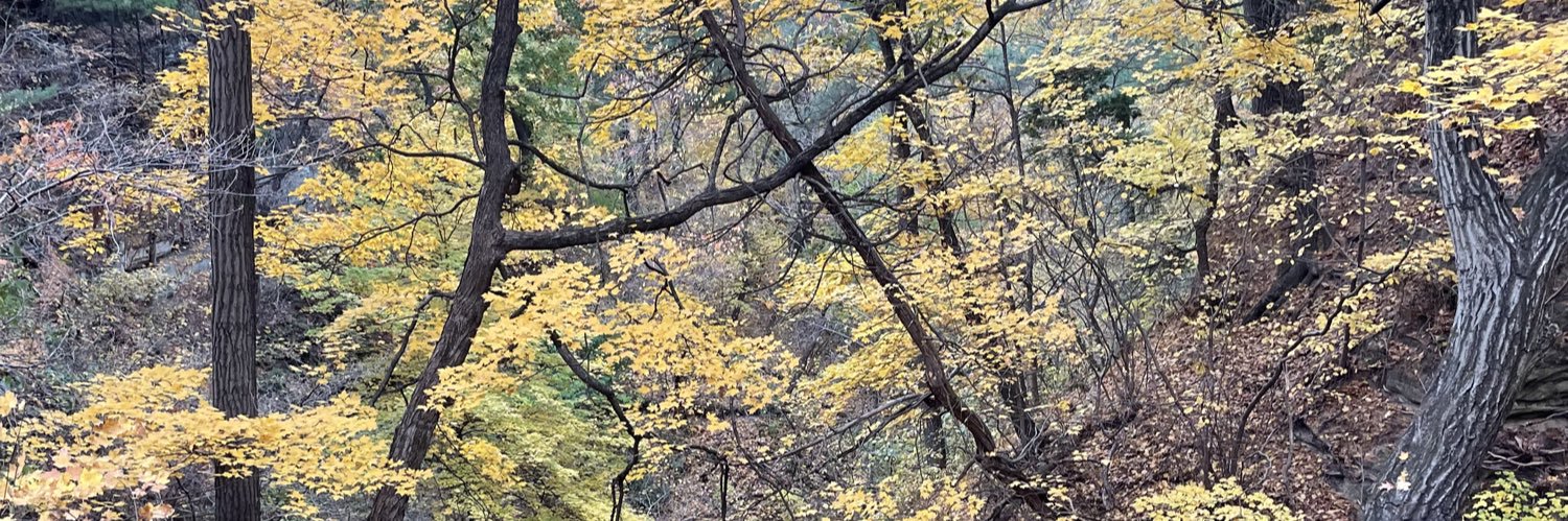 woods_david14's profile banner image