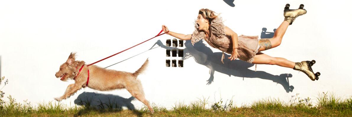 colleen allison banner