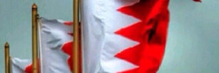 adel_ma's profile banner image