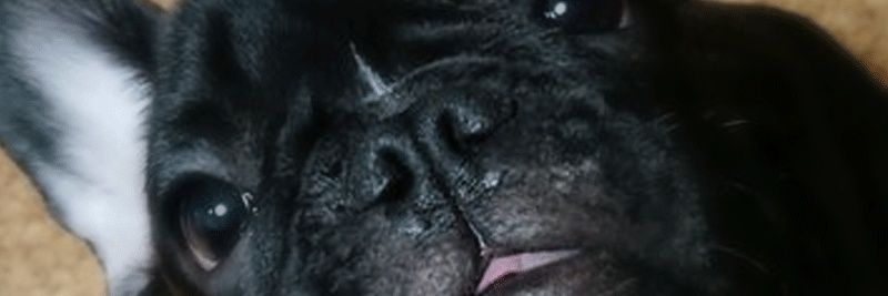 HTarou58's profile banner image