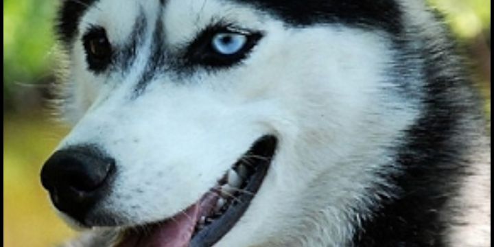 Beonedith Morales banner