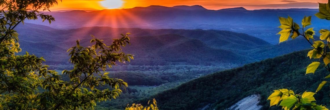 Fernando Gordillo banner