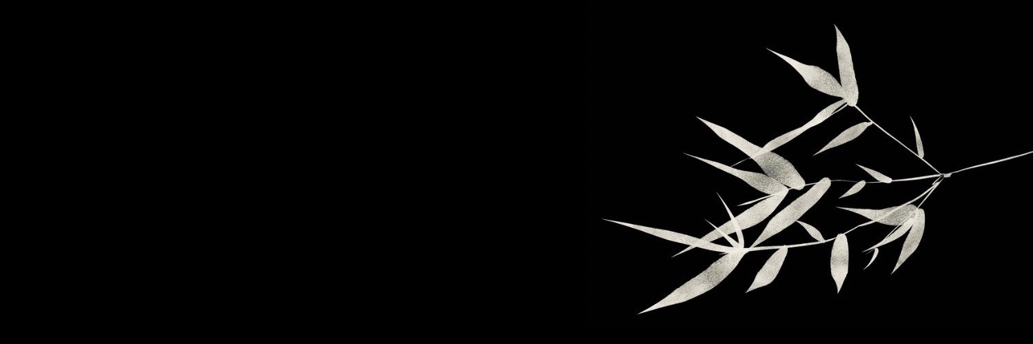 senjinka's profile banner image