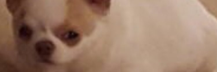 natalvrz's profile banner image