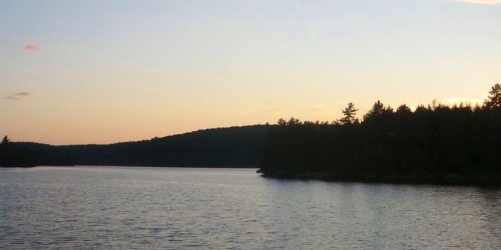 Mo_Kalimuddin's profile banner image