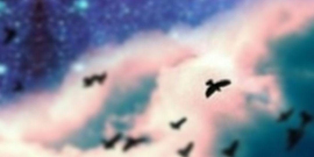 nnnnn_none's profile banner image