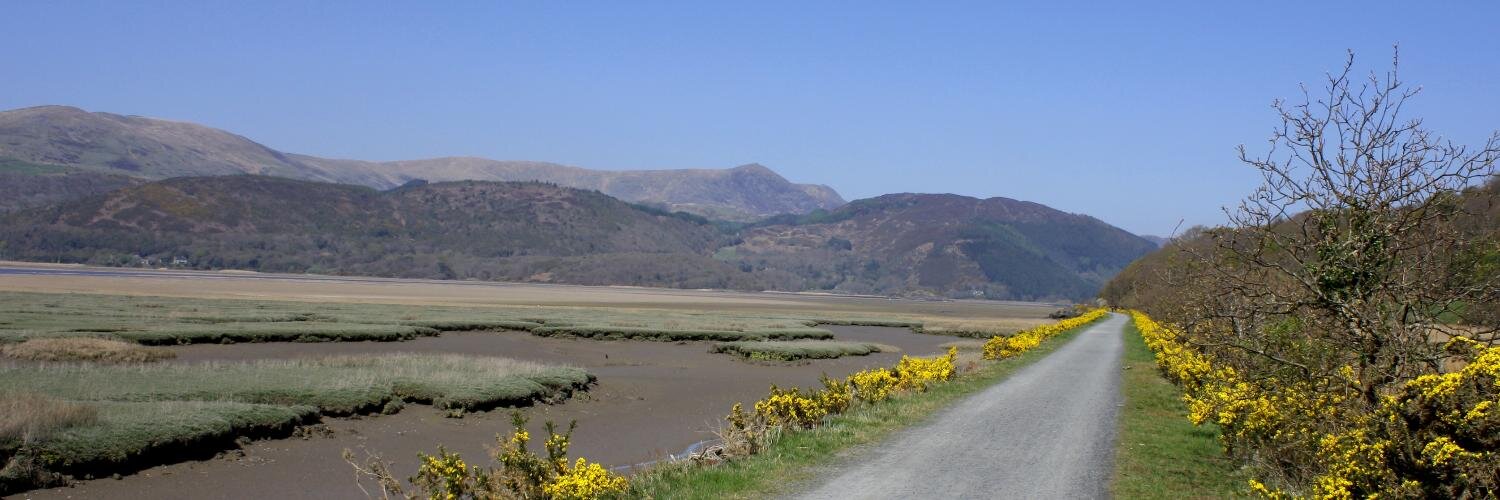 Accessible Country banner