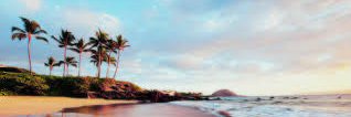 v_kalala's profile banner image
