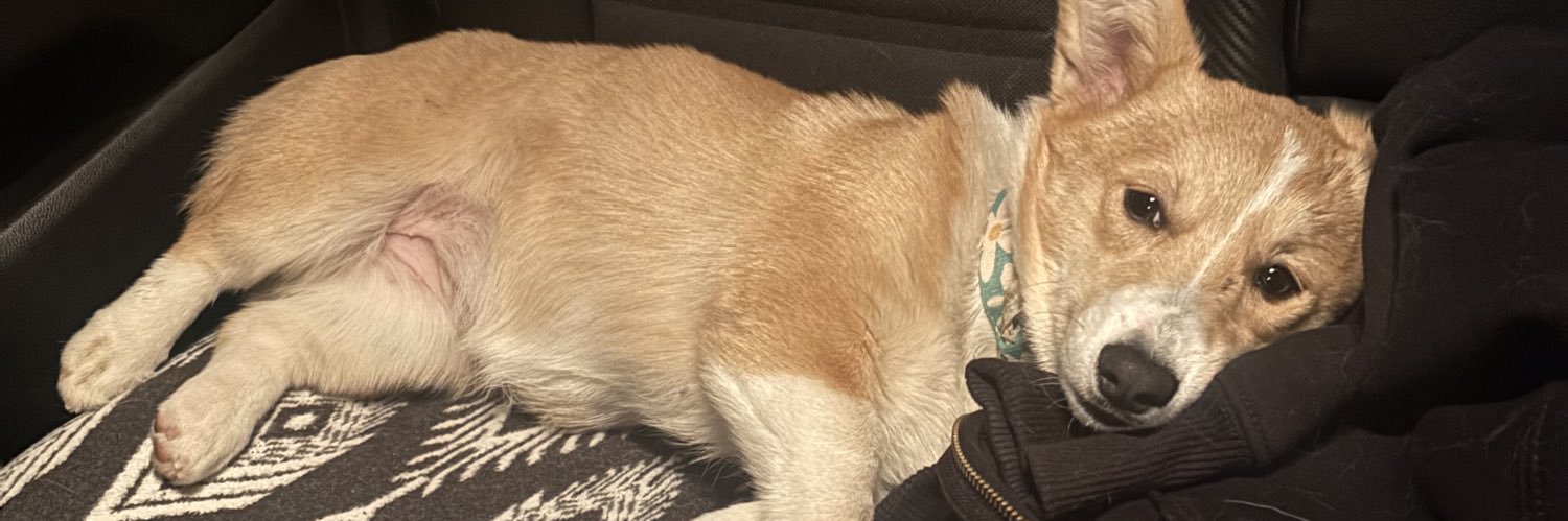 Gabeespinosa__'s profile banner image