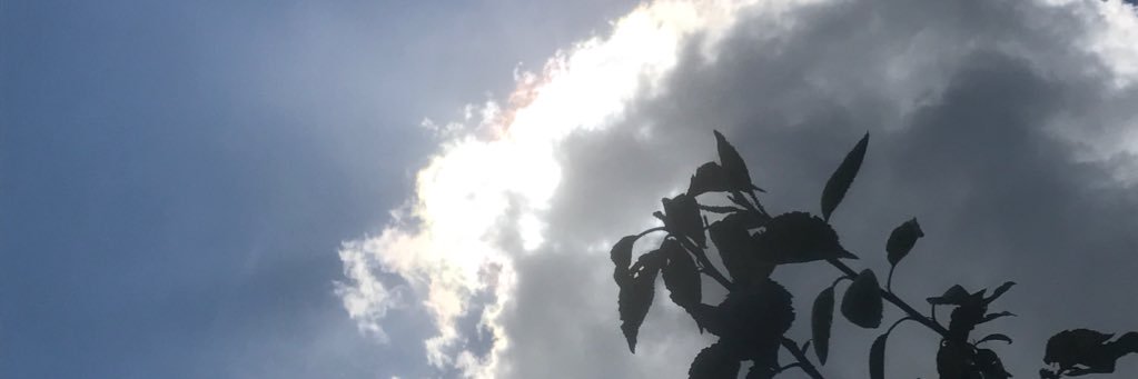 ShayneShinerd's profile banner image