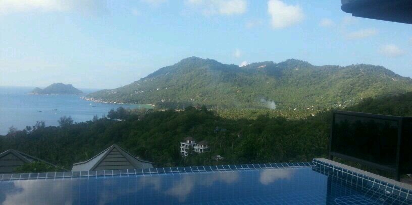 Christina van der Kamp banner