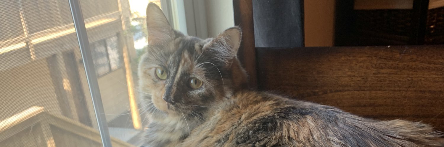 BuehlerDelaney's profile banner image