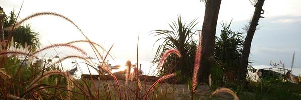 Sek_Pramool Profile Banner