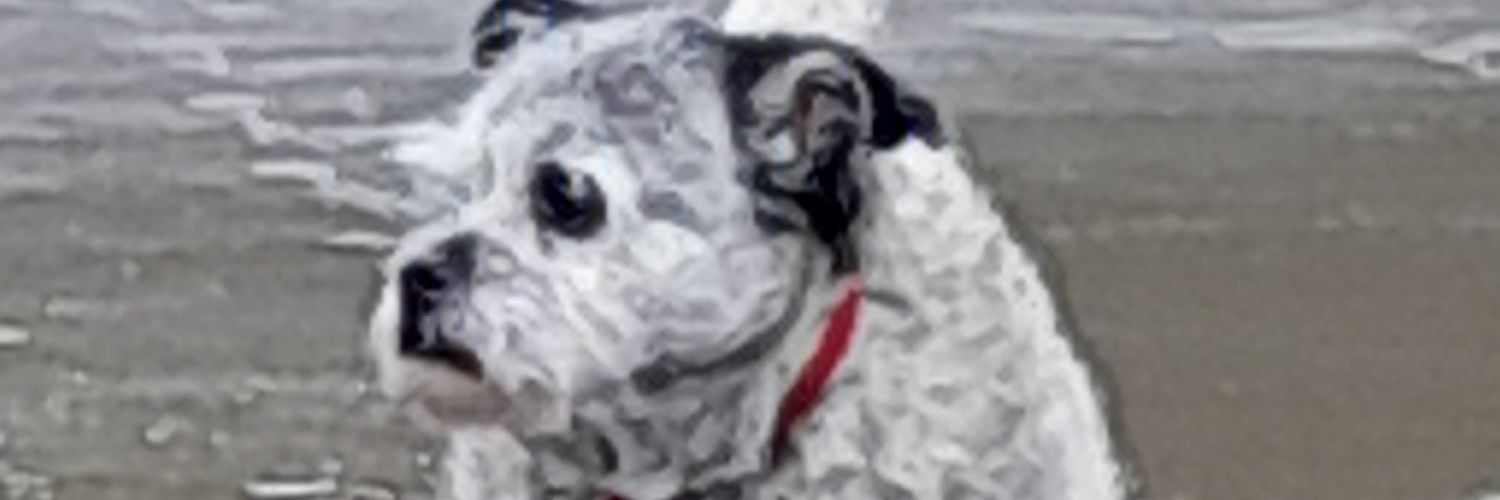 bcfcsteve1's profile banner image
