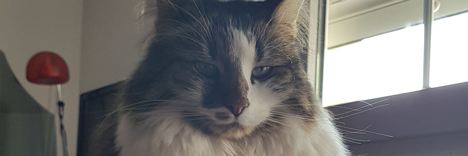 dekkard1981's profile banner image