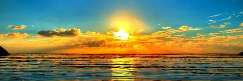 daniel navarrete banner