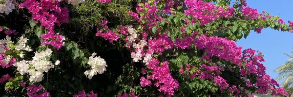 Aguspala12's profile banner image