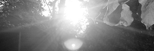 Mark_Daws Profile Banner