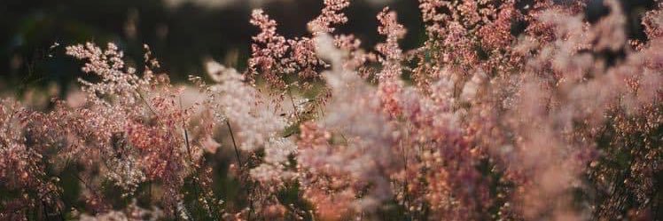 berly_gar's profile banner image
