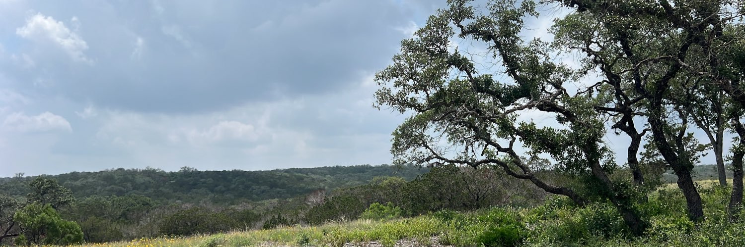 NeilBraddas's profile banner image