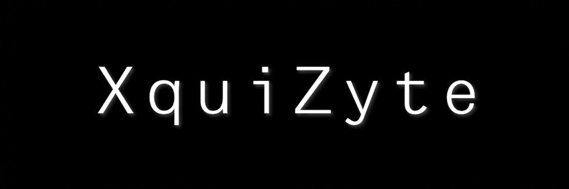XquiZyte's profile banner image