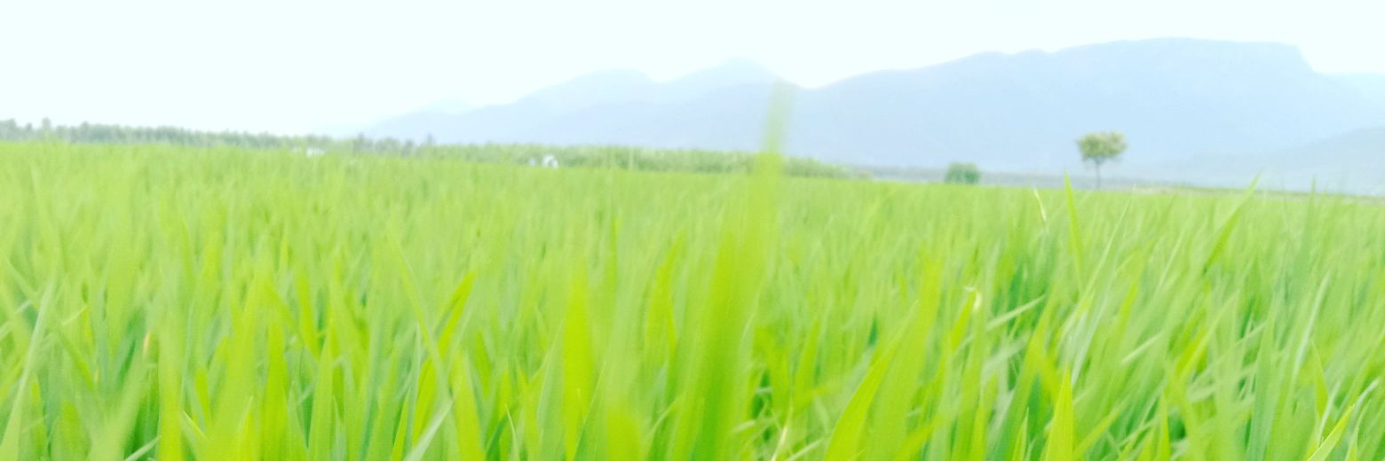 gowthaman4603's profile banner image