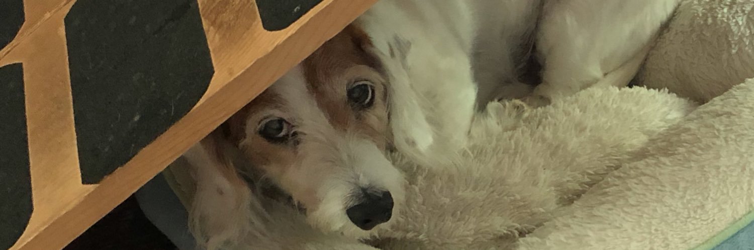 thePrompting's profile banner image