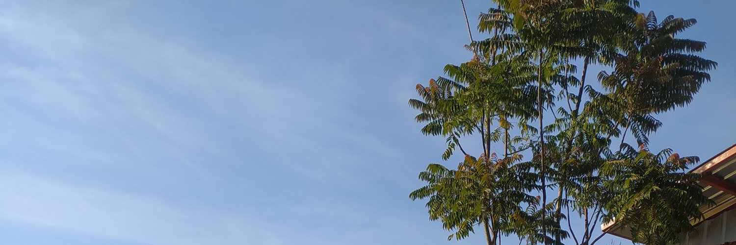 btcftx's profile banner image