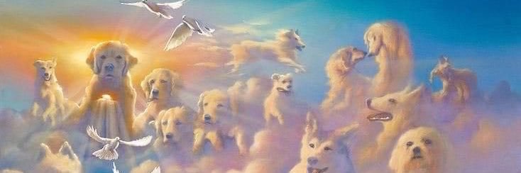 sarahpmf's profile banner image