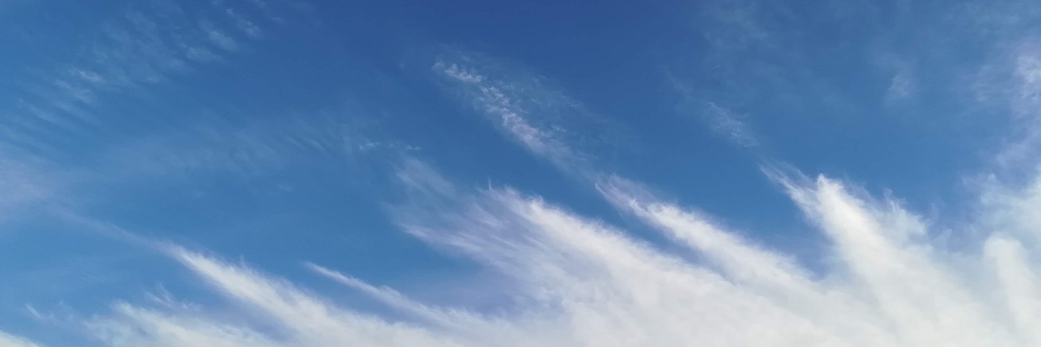 yui_eis_'s profile banner image