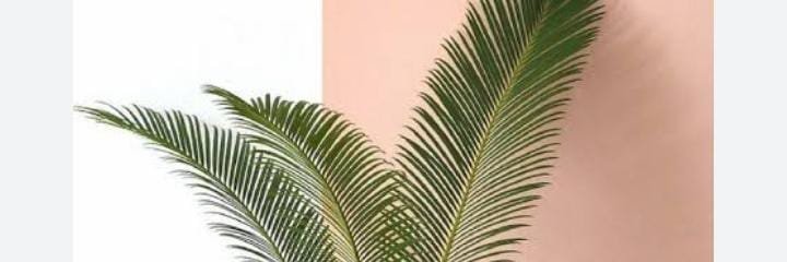 realemmaeze's profile banner image