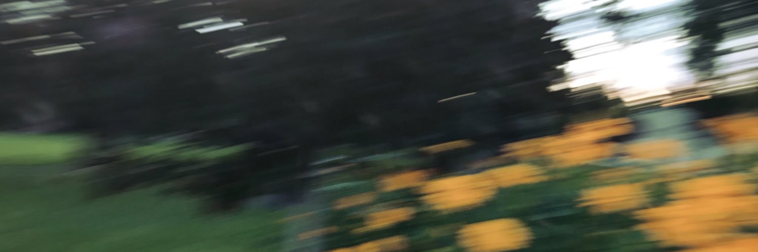 bayybake's profile banner image