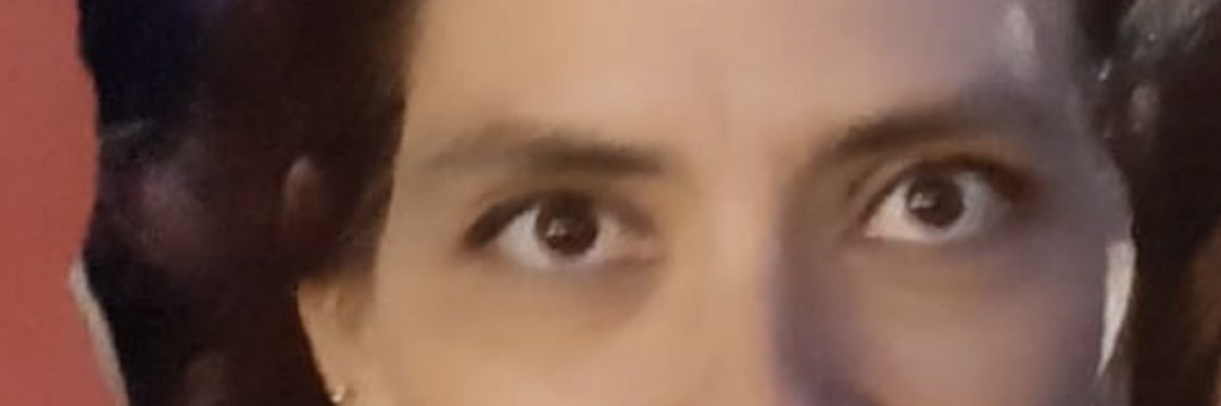 lozaronce's profile banner image