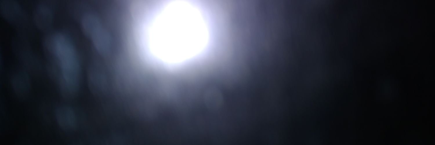 Lilpe's profile banner image