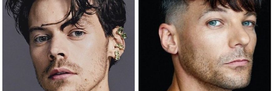 🍋Carol🌻 💙💚Louis/Harry👬, Niall, Liam, Zayn banner