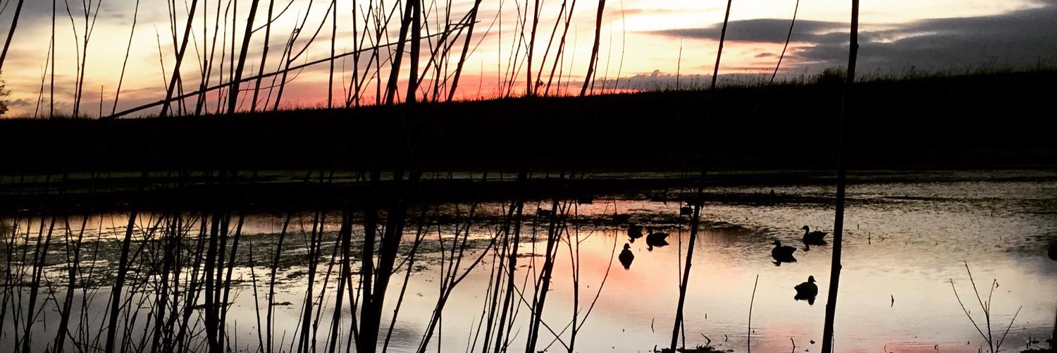 CrowellJD's profile banner image
