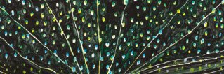 ko_204's profile banner image