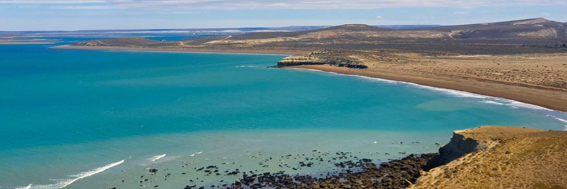 Dario Villalba banner