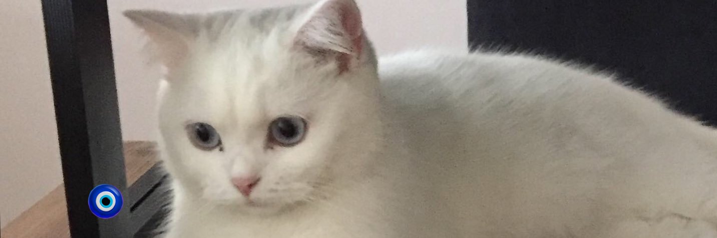 ozlemmbuluttt's profile banner image